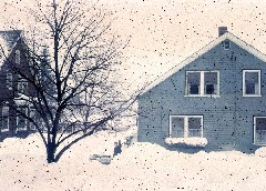 S1426 Dodges snow bound house